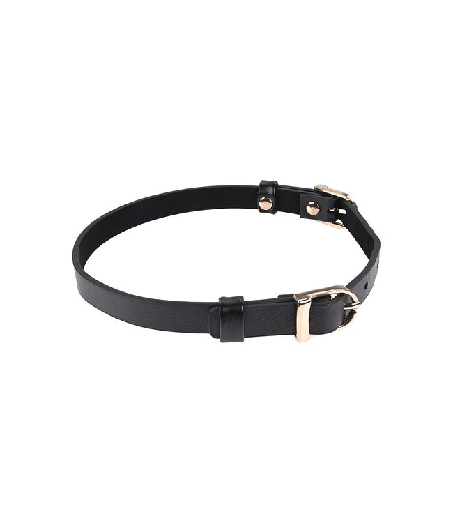 Sportsheets SEX AND MISCHIEF DOUBLE BUCKLE DAY COLLAR