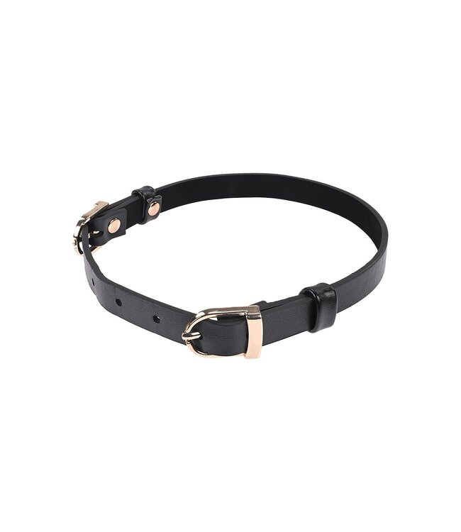 Sportsheets SEX AND MISCHIEF DOUBLE BUCKLE DAY COLLAR