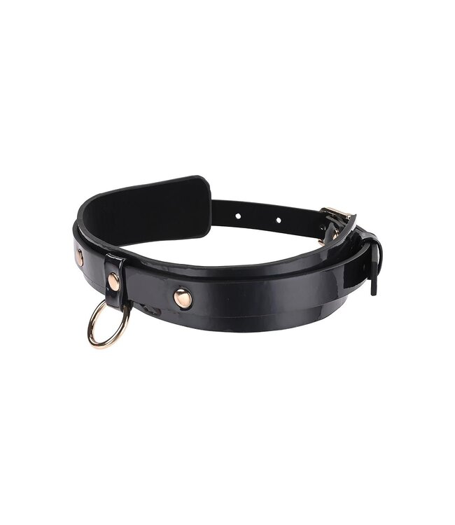 Sportsheets SEX AND MISCHIEF ORBIT DAY COLLAR