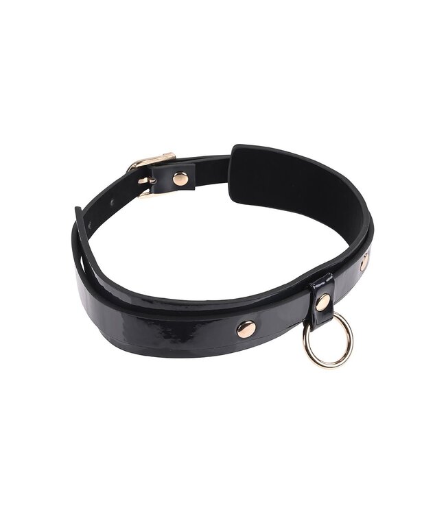 Sportsheets SEX AND MISCHIEF ORBIT DAY COLLAR