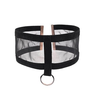 Sportsheets SEX AND MISCHIEF SHEER DAY COLLAR