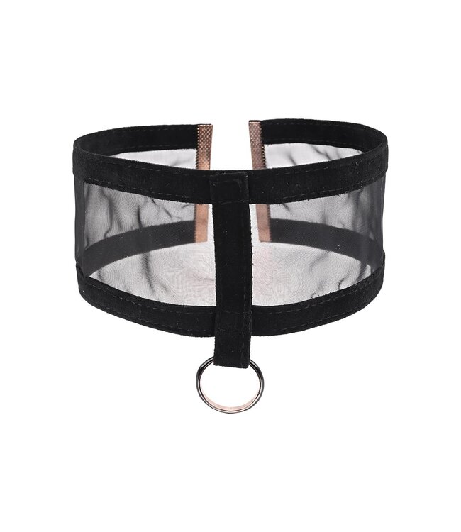 Sportsheets SEX AND MISCHIEF SHEER DAY COLLAR