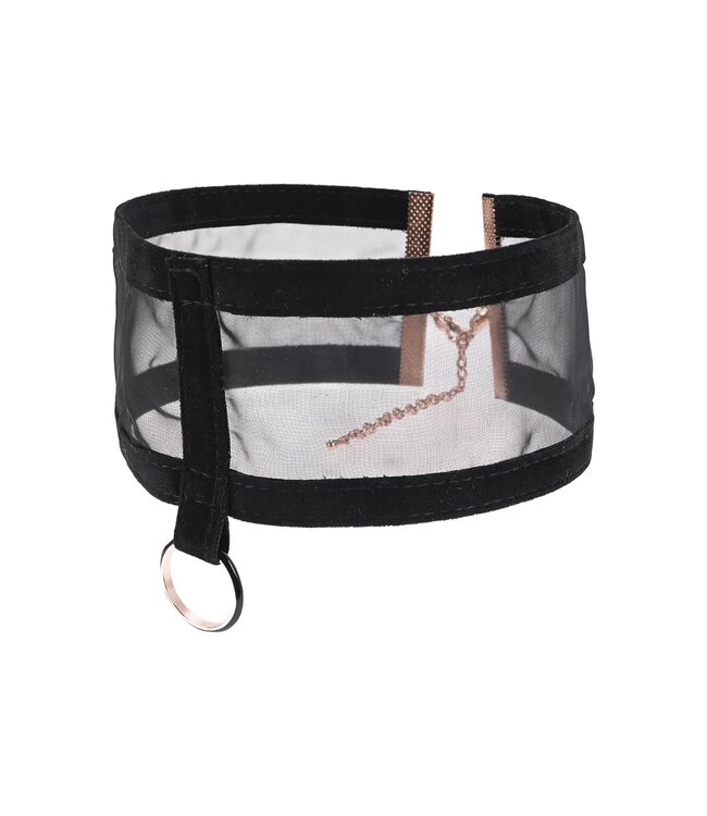 Sportsheets SEX AND MISCHIEF SHEER DAY COLLAR