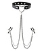Sportsheets SPORTSHEETS SM AMOR COLLAR WITH NIPPLE CLAMPS