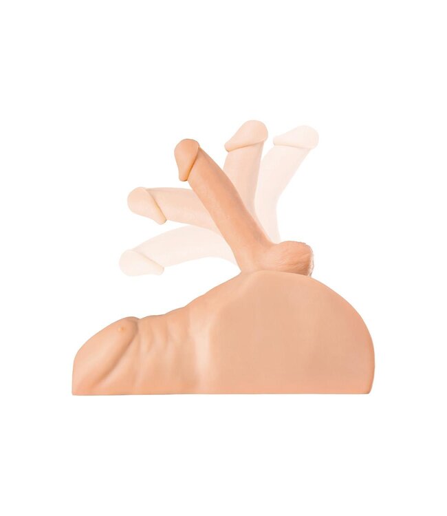 Pipedream PDX PLUS PERFECT RIDE LIGHT