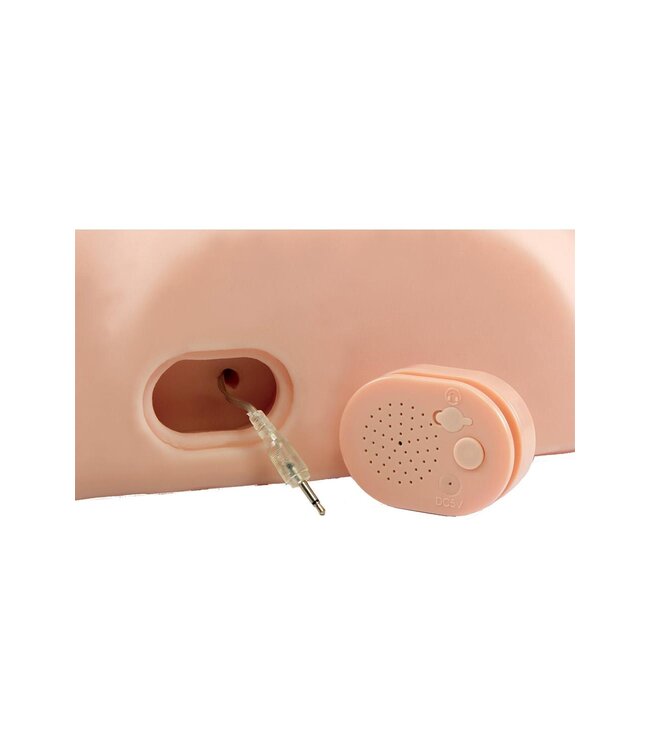 Pipedream PDX MALE DIRTY TALK INTERACTIVE FUCK HIM SILLY LIGHT