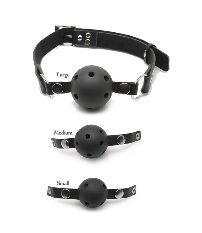 Pipedream FETISH FANTASY SERIES BALL GAG TRAINING SYSTEM BLACK