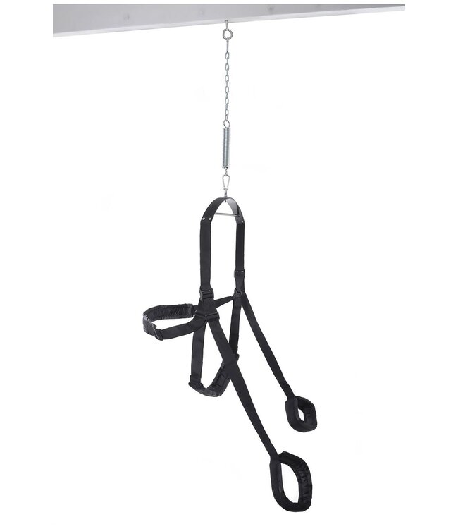 Pipedream FETISH FANTASY SERIES FANTASY SWING