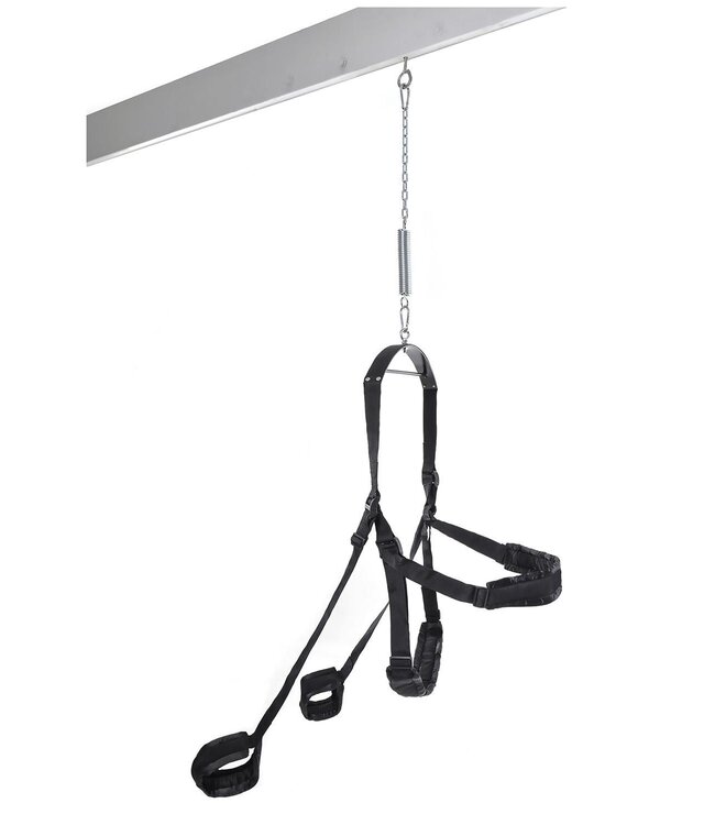 Pipedream FETISH FANTASY SERIES FANTASY SWING