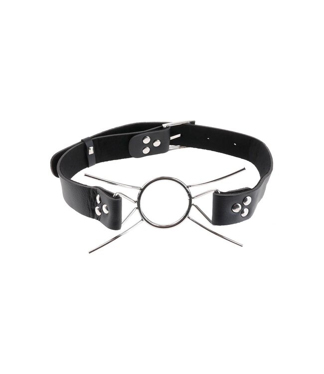 Pipedream FETISH FANTASY EXTREME SPIDER GAG SILVER