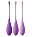 Pipedream FANTASY FOR HER KEGEL TRAIN-HER SET PURPLE