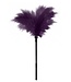 Guilty Pleasure BDSM GP SMALL FEATHER TICKLER PURPLE