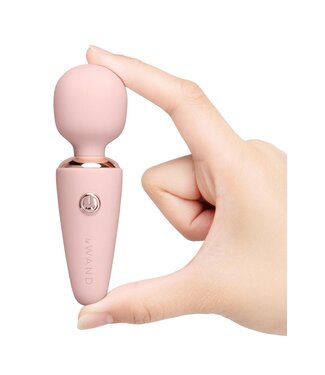 le WAND LE WAND MINI MICRO WAND RG