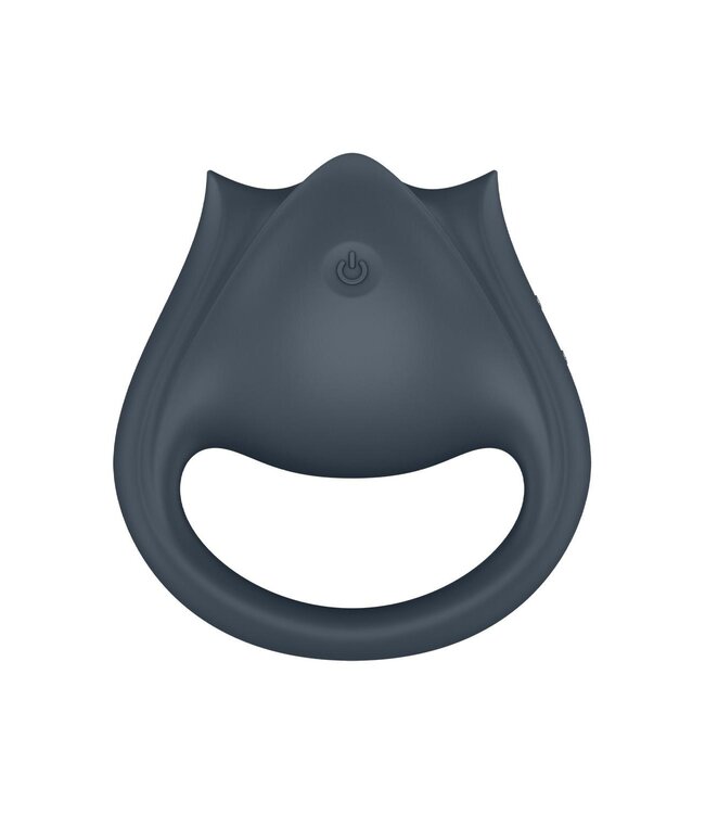 Satisfyer SATISFYER PERFECT PAIR 2