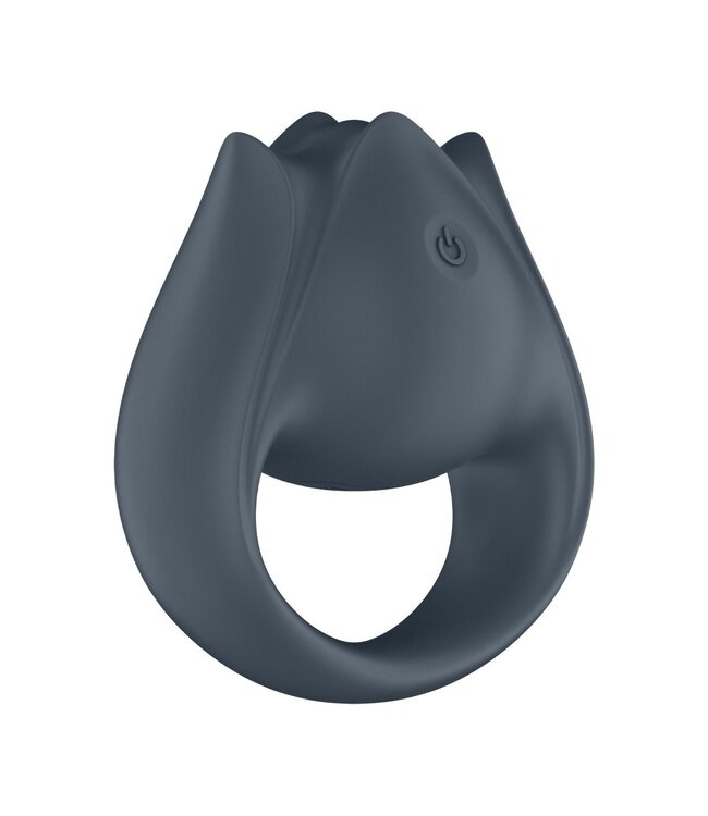 Satisfyer SATISFYER PERFECT PAIR 2