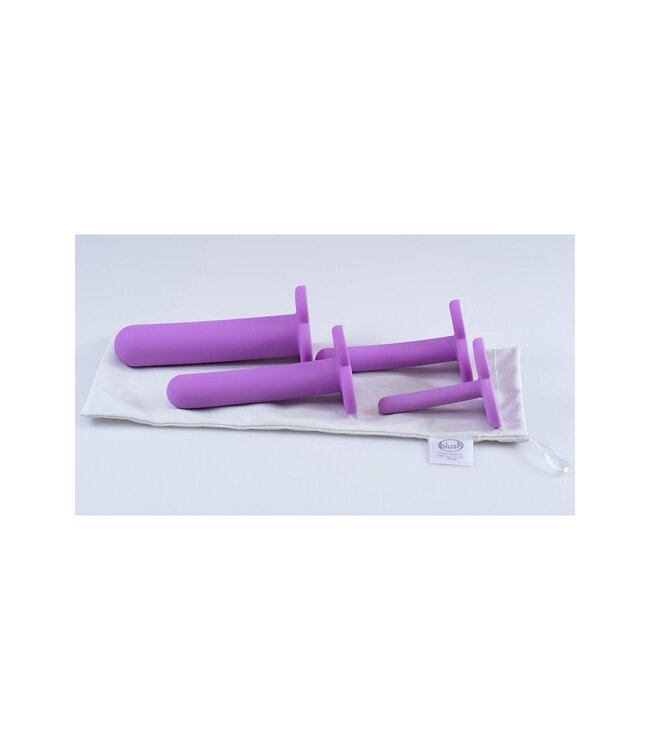 Blush SAFE SEX ANTI-BACTERIAL TOY BAG LARGE