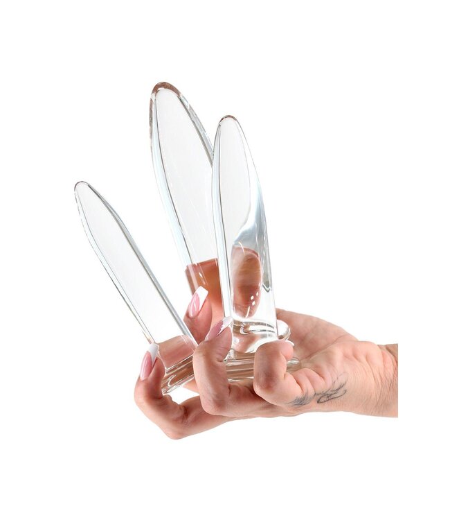 NS Novelties CRYSTAL 3PC TRAINER KIT CLEAR