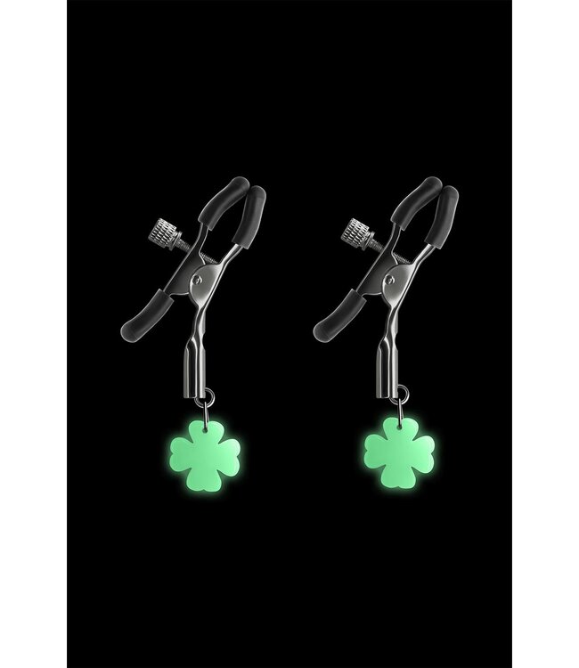 NS Novelties BOUND NIPPLE CLAMPS G4 GUNMETAL