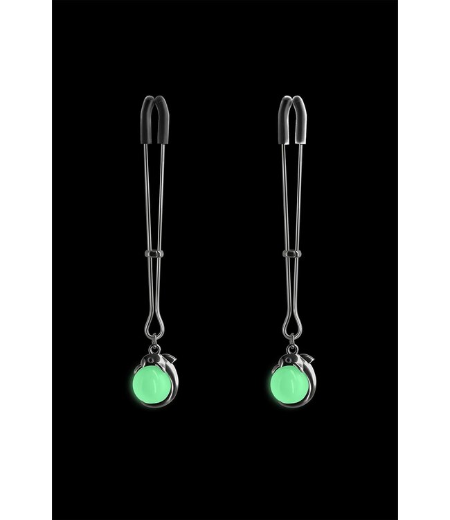 NS Novelties BOUND NIPPLE CLAMPS G1 GUNMETAL