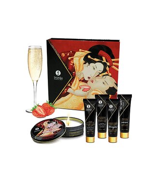 Shunga GEISHAS SECRET KIT STRAWBERRY WINE 67ML