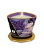 Shunga MASSAGE CANDLE EXOTIC FRUIT 170 ML