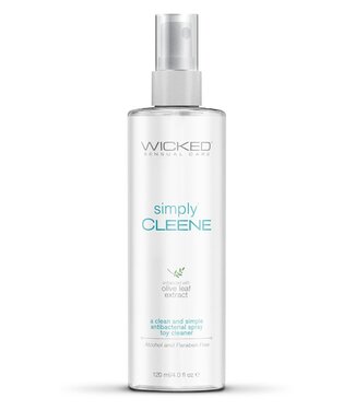 Wicked Sensual Care WICKED SIMPLY CLEENE TOYCLEANER 120ML