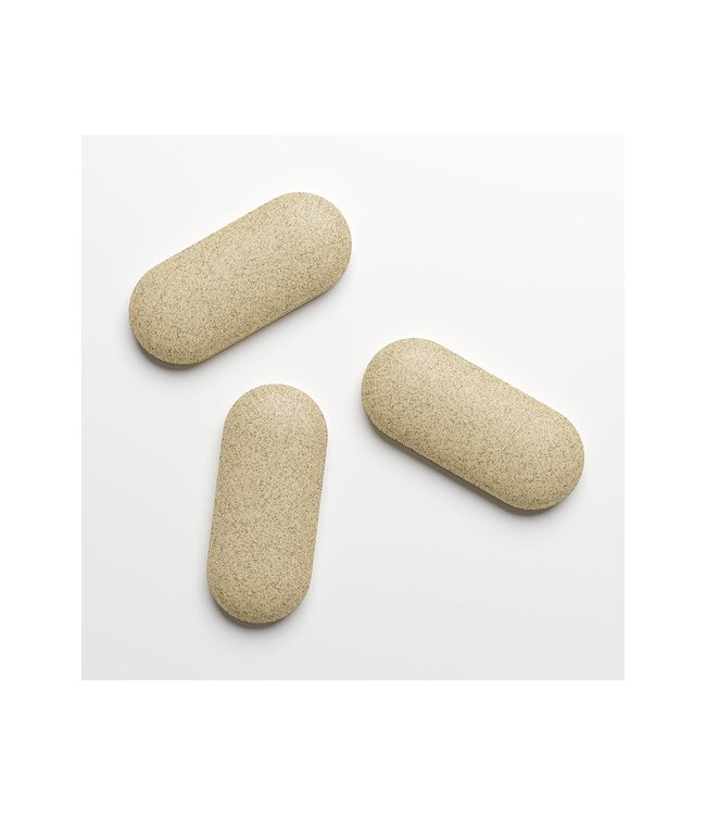 Cobeco PENIS PLUS ERECT 90 TABS