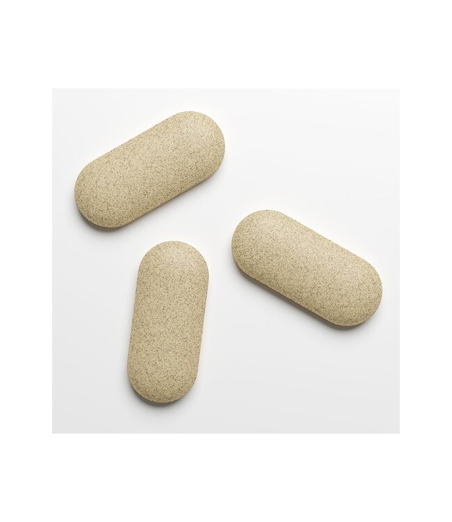 Cobeco PENIS XL 60 TABS