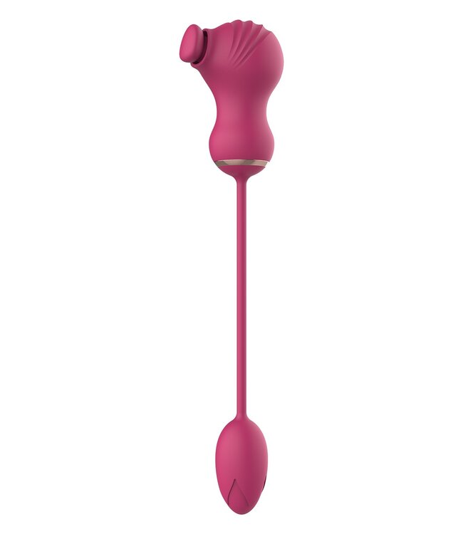 Dreamtoys ESSENTIALS FLEXIBLE DUAL STIMULATOR AND VIBRATING EGG PINK