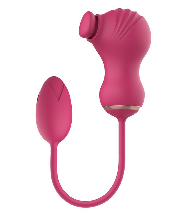 Dreamtoys ESSENTIALS FLEXIBLE DUAL STIMULATOR AND VIBRATING EGG PINK