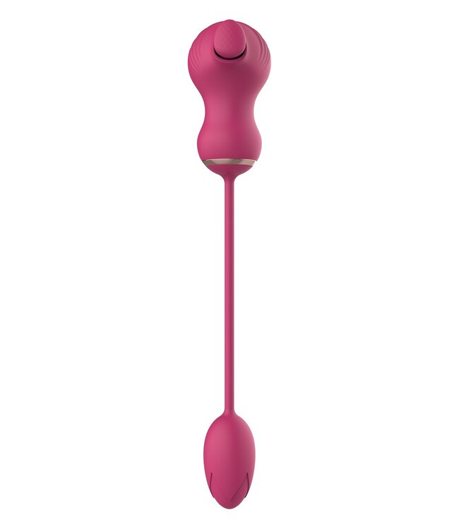 Dreamtoys ESSENTIALS FLEXIBLE DUAL STIMULATOR AND VIBRATING EGG PINK