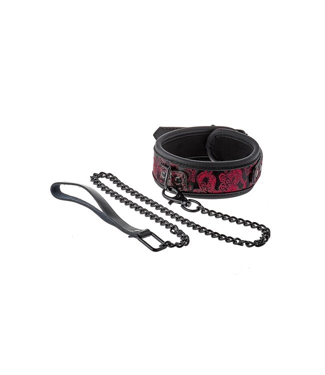 Dreamtoys BLAZE DELUXE COLLAR & LEASH