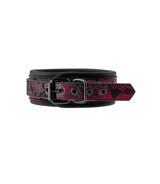 Dreamtoys BLAZE DELUXE COLLAR & LEASH