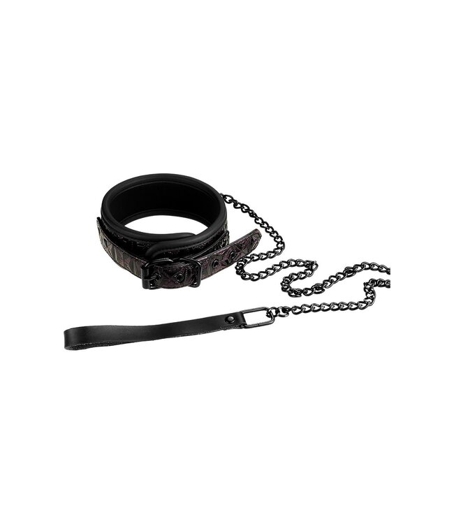 Dreamtoys BLAZE COLLAR AND LEASH PURPLE