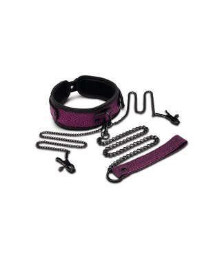 Whipsmart WHIPSMART DRAGON'S LAIR COLLAR, LEASH & NIPPLE CLIPS SET