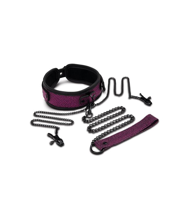 Whipsmart WHIPSMART DRAGON'S LAIR COLLAR, LEASH & NIPPLE CLIPS SET