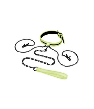 Whipsmart WHIPSMART GLOW IN THE DARK COLLAR WITH NIPPLE CLIPS AND LEASH