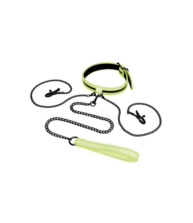 Whipsmart WHIPSMART GLOW IN THE DARK COLLAR WITH NIPPLE CLIPS AND LEASH