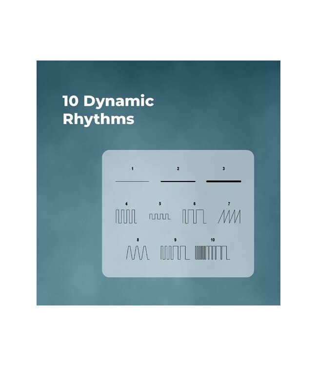 NMC NMC 9.5 INCH RECHARGEABLE SILICONE VIBRATION HOLLOW STRAP ON WITH BALL RING BLACK