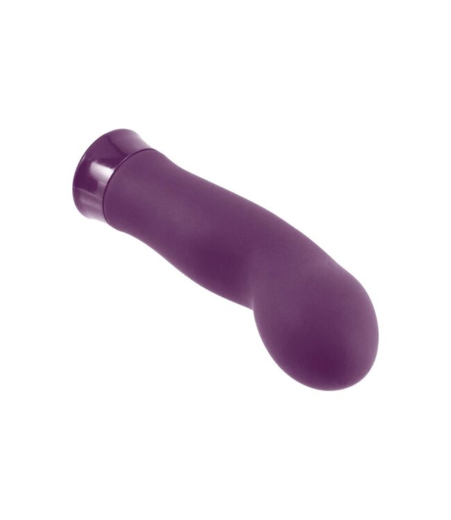 NMC NMC 5 INCH RECHARGEABLE SILICONE 10 FUNCTIONS SPEED VIBRATOR PURPLE