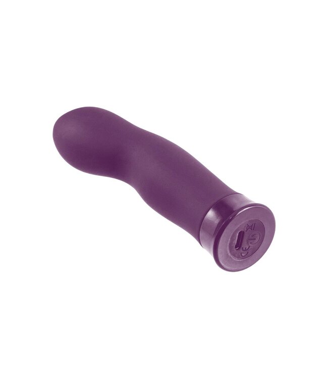 NMC NMC 5 INCH RECHARGEABLE SILICONE 10 FUNCTIONS SPEED VIBRATOR PURPLE