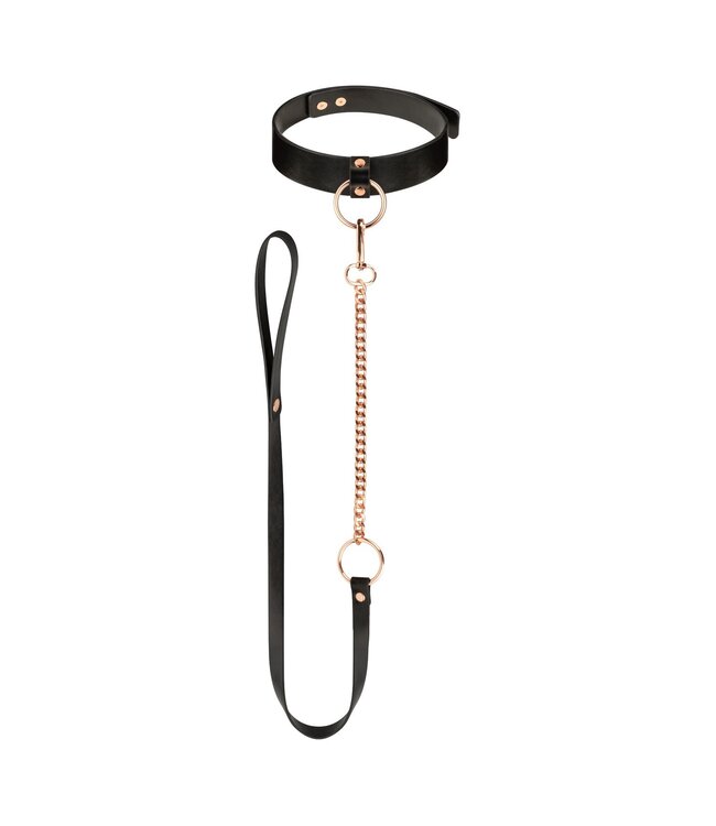 Rosy Gold Rosy Gold - Halsband met Leash - Zwart