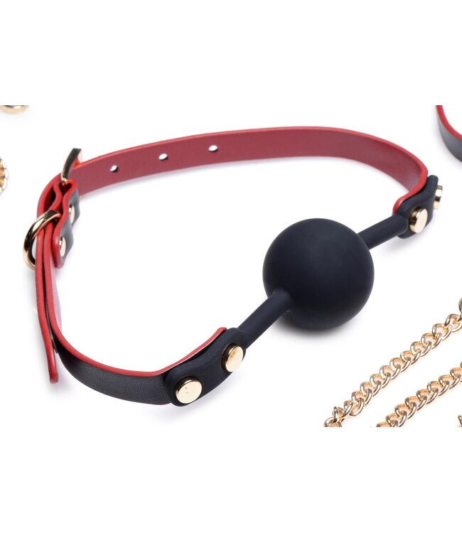 XR Brands Master Series - Luxe BDSM Set Met Reistas