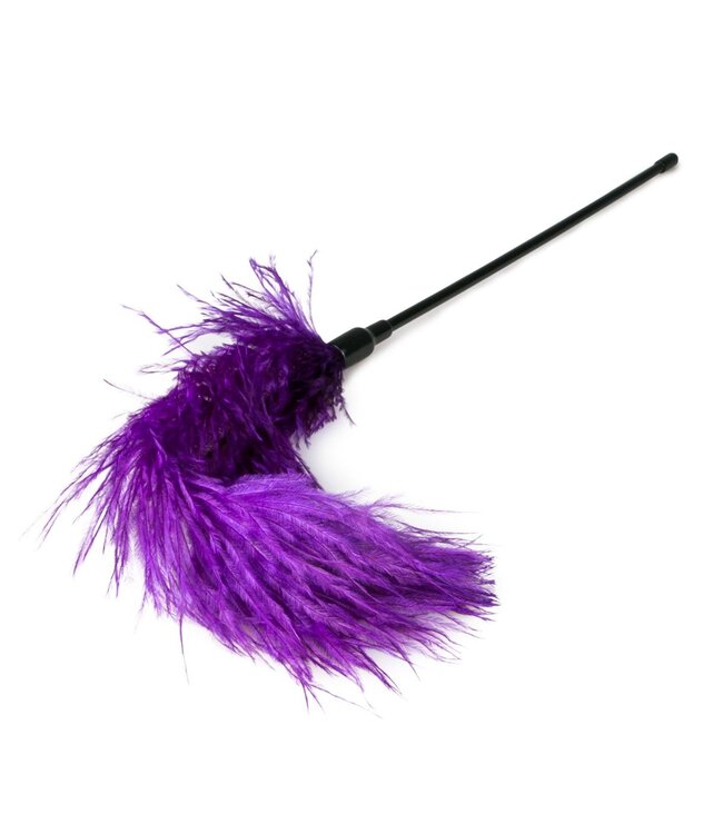 Easytoys Fetish Collection Easytoys Fetish - Paarse veren kietelaar