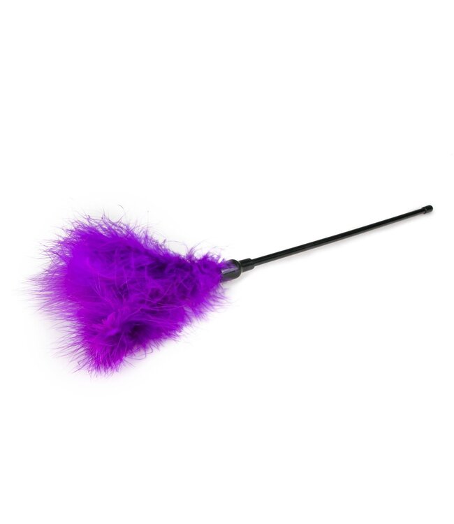 Easytoys Fetish Collection Paarse kietelaar - lang