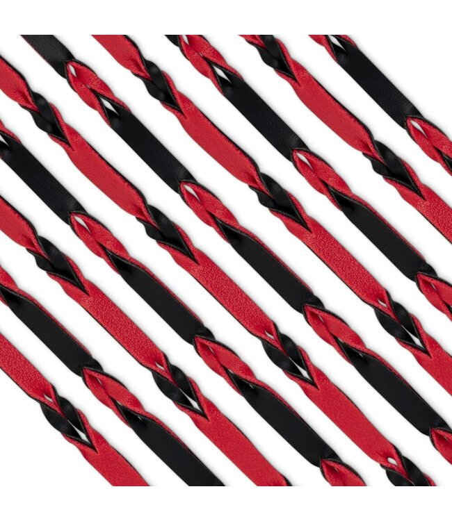 Easytoys Fetish Collection Easytoys Fetish - Flogger 64 cm - Rood en Zwart