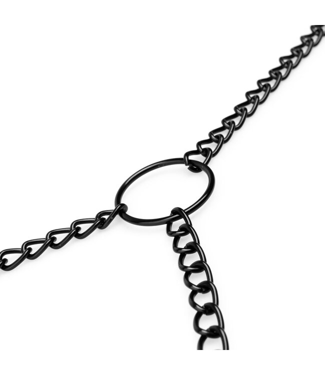 Bedroom Fantasies Tepel & Clitorisklemmen - Zwart