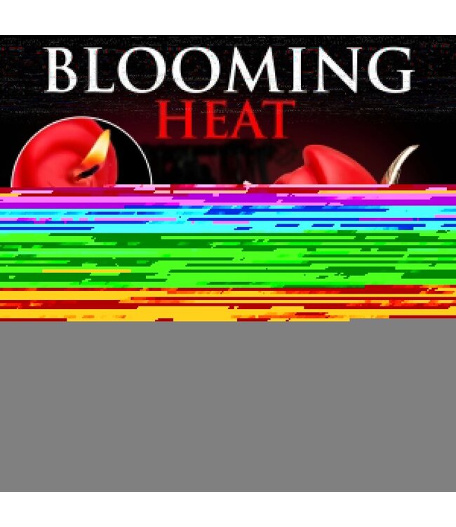 XR Brands XR Brands - Rozenkaars met Houder - Rood