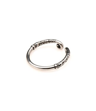 XR Brands Master Series - Roestvrijstalen Glansring - Zilver