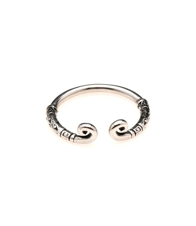 XR Brands Master Series - Roestvrijstalen Glansring - Zilver